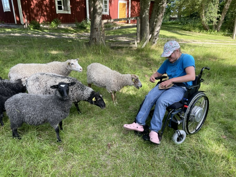 kollobilder-16.jpeg